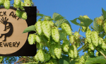 UPDATE: Beer Law: Monster Energy Drink starts a full tilt with RockArt Brewery