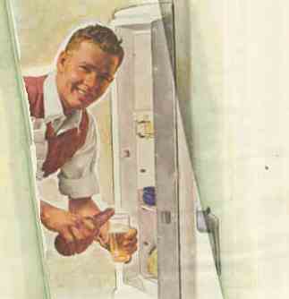 Beer fridge